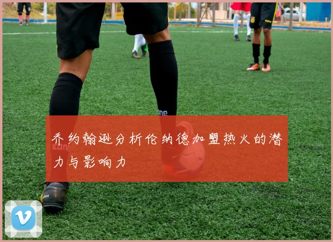 乔约翰逊分析伦纳德加盟热火的潜力与影响力